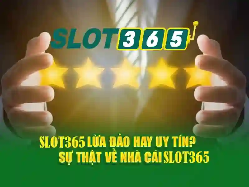các dịch vụ chủ chốt của phiên bản mới Slot365
