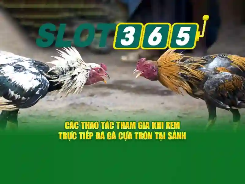 An toàn và trách nhiệm khi chơi Slot365\n\n<p><span style=