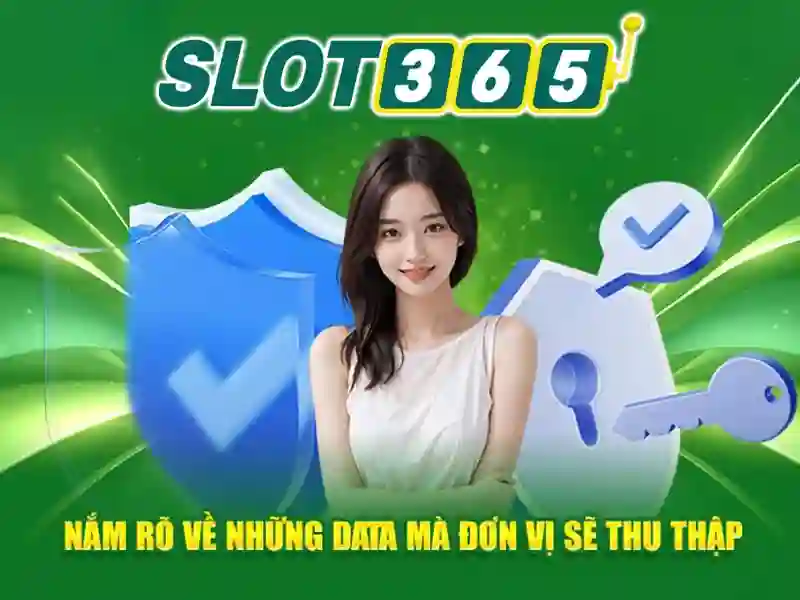 live slot365 – Giới thiệu tổng quan về nền tảng slots trực tiếp