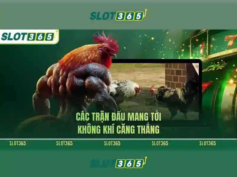 slot365 com – Tổng quan chủ đề và giá trị cốt lõi