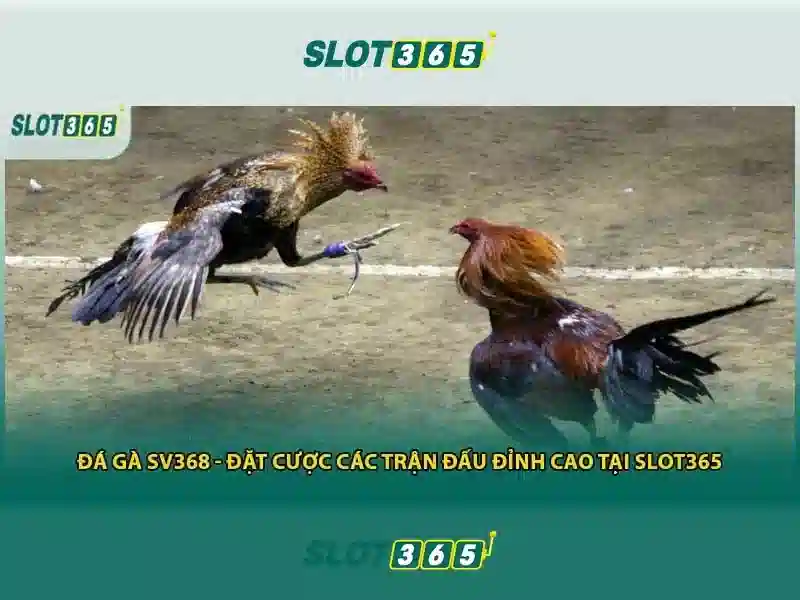 Nguồn gốc và sứ mệnh của hướng dẫn Slot365