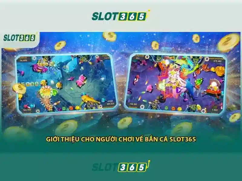 Các trò chơi và lựa chọn cược tại Slot365