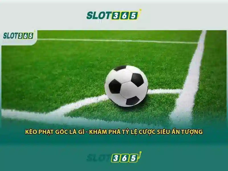 Sản phẩm và dịch vụ cốt lõi: Ứng dụng thực tế của slot365