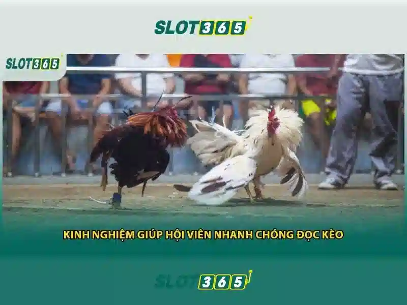 Giao diện di động tối ưu cho mọi thiết bị