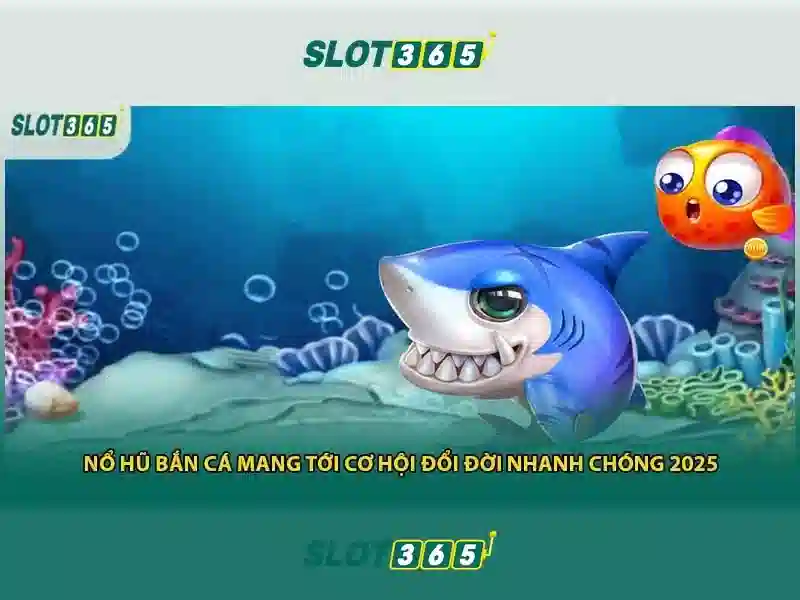 Sản phẩm và dịch vụ chủ chốt: ứng dụng thực tế Slot365 an toàn không