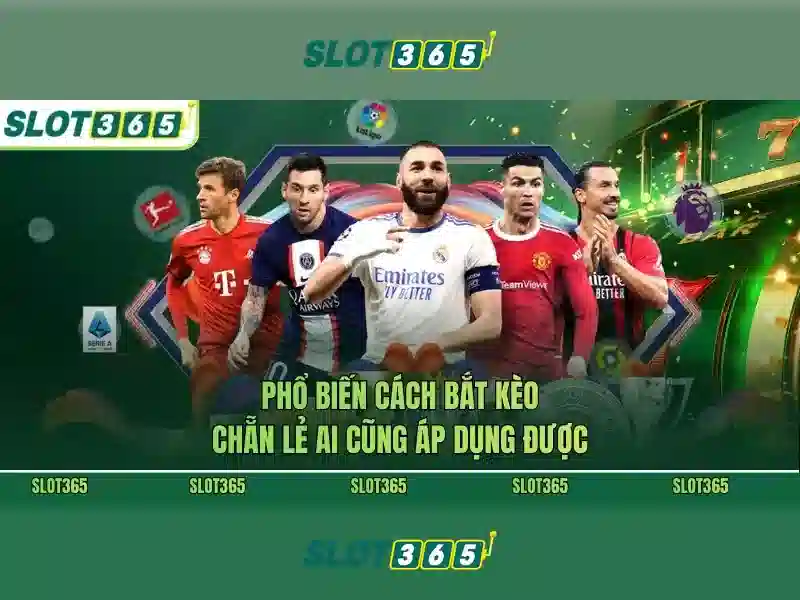 Slot365 là gì và vì sao nó nổi tiếng