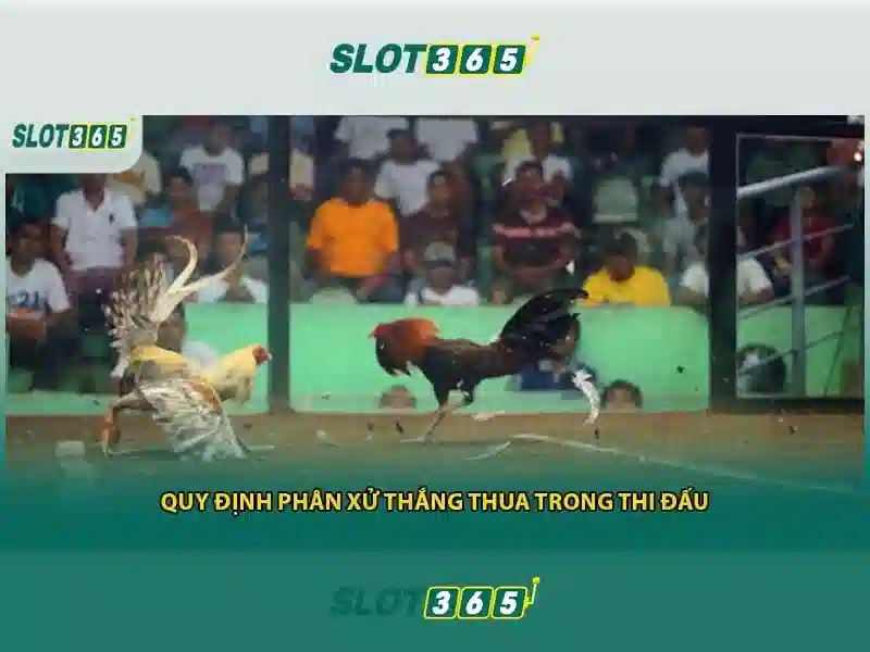 game bài Slot365 – Tóm lược chủ đề và giá trị cốt lõi