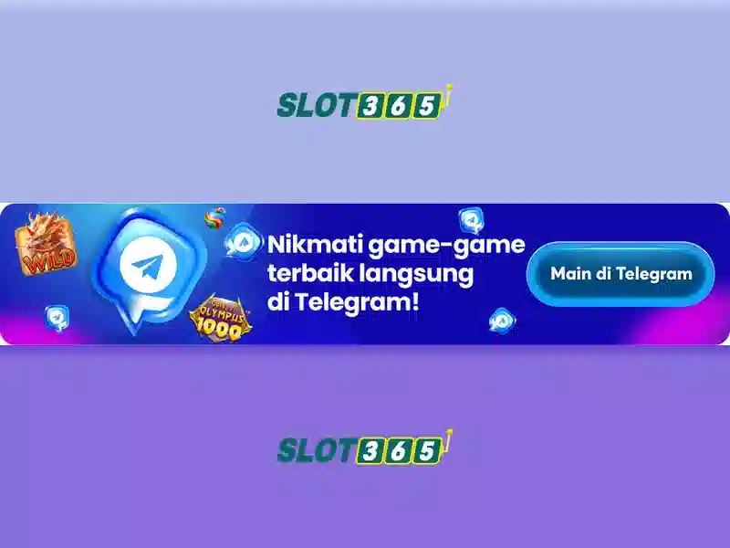 Trải nghiệm người dùng