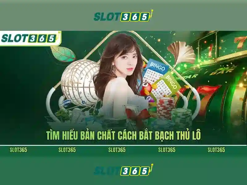 Slot365: Nền tảng chơi slot trực tuyến toàn diện