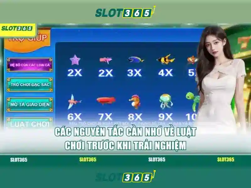 Slot365 - Nền tảng cược máy xèng hàng đầu