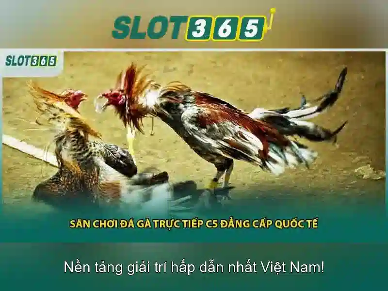 Phương thức thanh toán và bảo mật