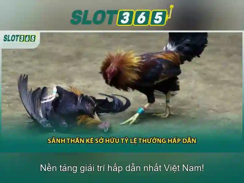 Mẹo chơi bắn cá 3 cây dễ ăn tiền nhà cái