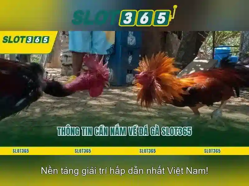 Trải nghiệm người dùng và giao diện
