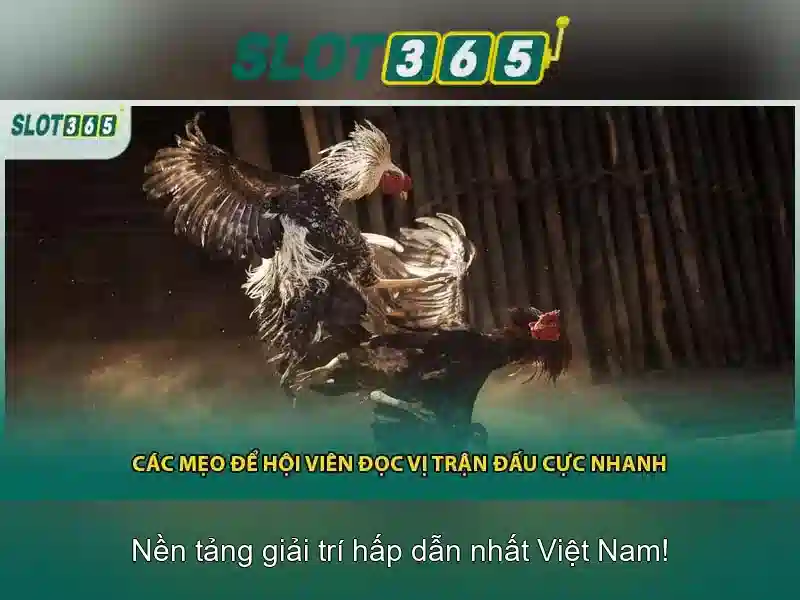 Lợi ích khi chơi tại Slot365