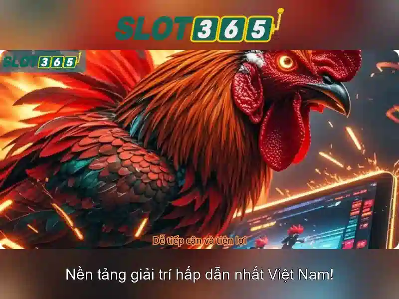 Khuyến mãi và hỗ trợ khách hàng