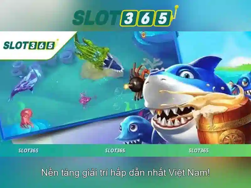 <!--IMG_PLACEHOLDER alt>Kết luận-->