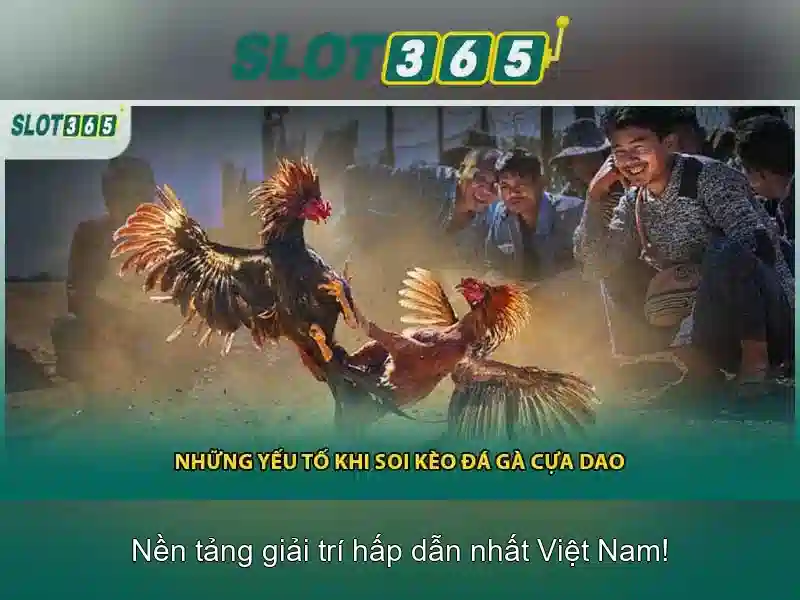 Slot365 – Nền tảng máy đánh bạc trực tuyến