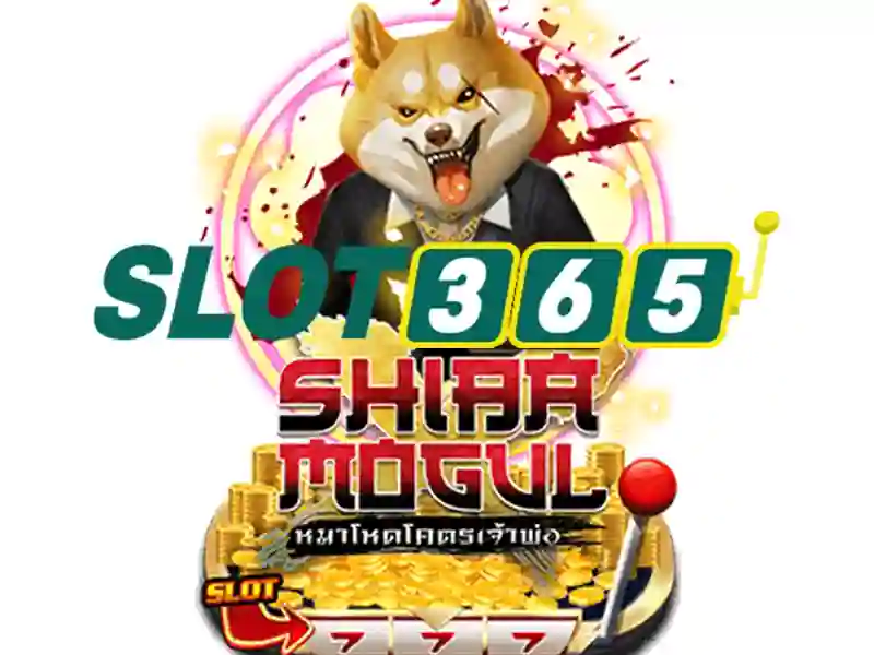 Làm thế nào để bắt đầu với Slot365