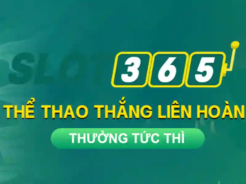 Phản hồi người dùng Slot365