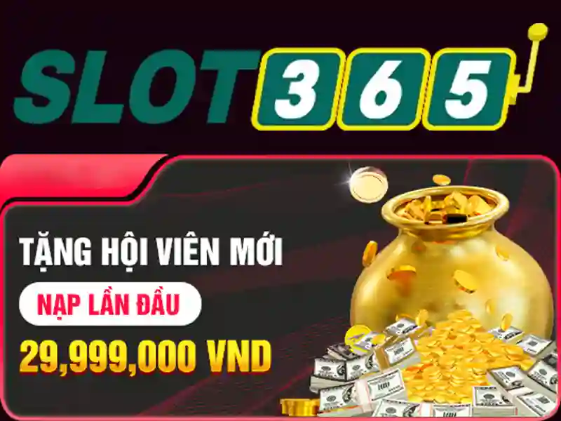 Sản phẩm và dịch vụ cốt lõi: ứng dụng thực tế của slot365 net