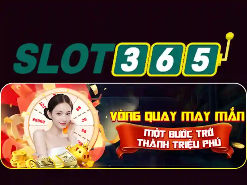 Tổng quan về Slot365