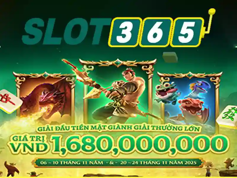 live slot365 – Trải nghiệm người dùng và phản hồi cộng đồng