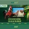 Slot365 - Trải nghiệm chơi slot trực tuyến đẳng cấp