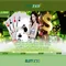 Slot365: Đánh giá nền tảng trò chơi slot trực tuyến