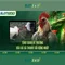 Slot365 - Đánh giá và Trải nghiệm