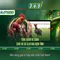 Slot365: Trải nghiệm chơi khe trực tuyến đỉnh cao
