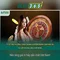 Slot365: trải nghiệm casino online hàng đầu