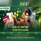 Slot365: Tổng quan về nền tảng máy xèng và trò chơi slot hàng đầu