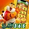 app slot365 – Tổng quan, trải nghiệm và định hướng tương lai