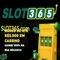 slot365 win – Trải nghiệm đột phá và định vị thương hiệu